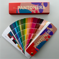 Pantonera Otoño
