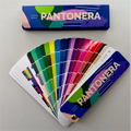 Pantonera Invierno
